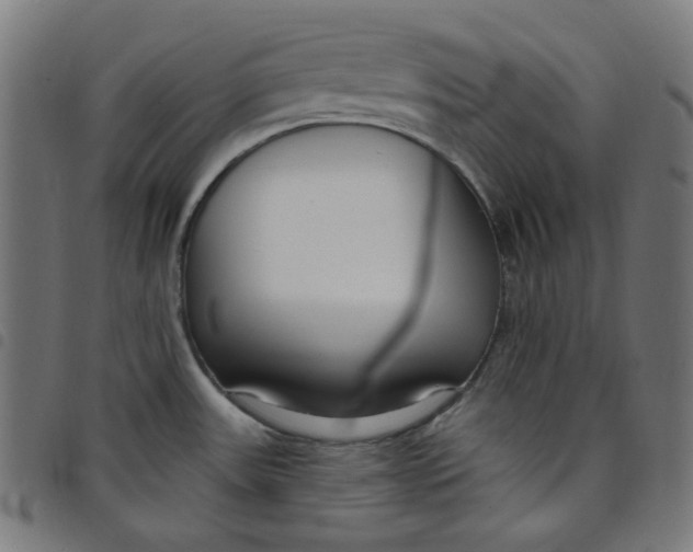 X0000098091531200804251243