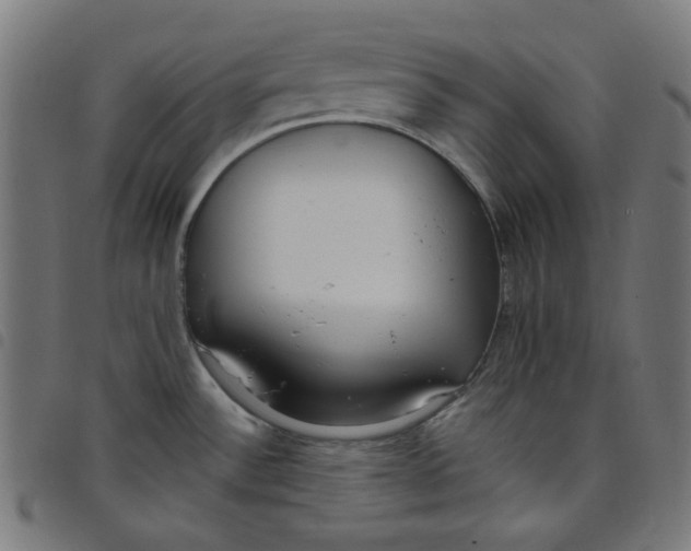 X0000098091532200804251243