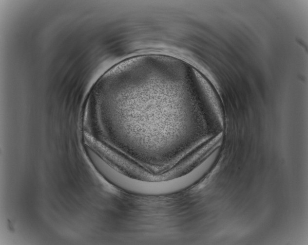 X0000098091533200804251243