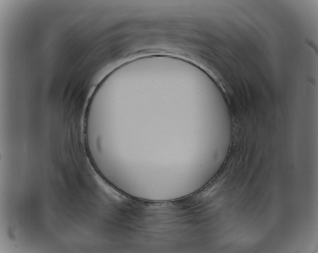 X0000098091535200804251243