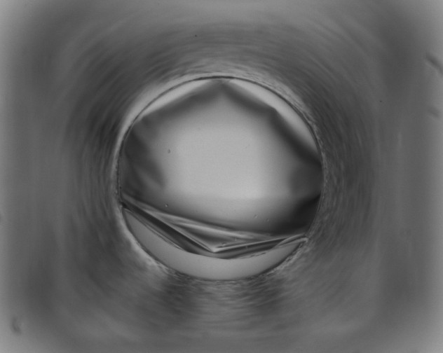X0000098091536200804251243