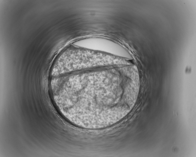 X0000098090002200805021057