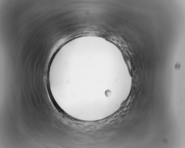 X0000098090003200805021057