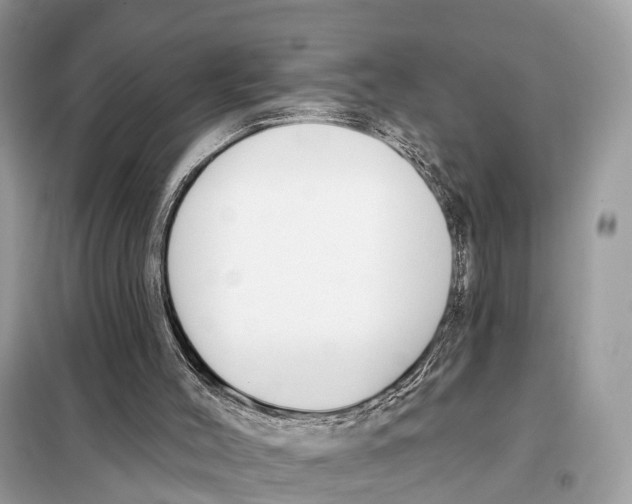 X0000098090004200805021057