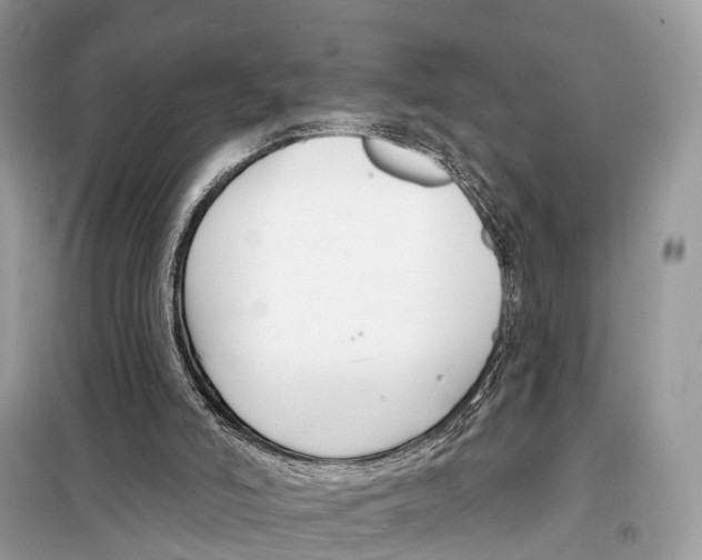 X0000098090006200805021057