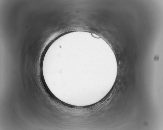 X0000098090008200805021057