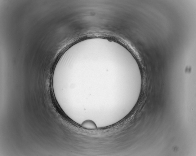 X0000098090010200805021057