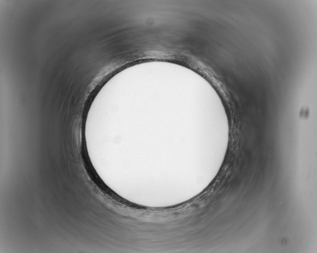 X0000098090011200805021057