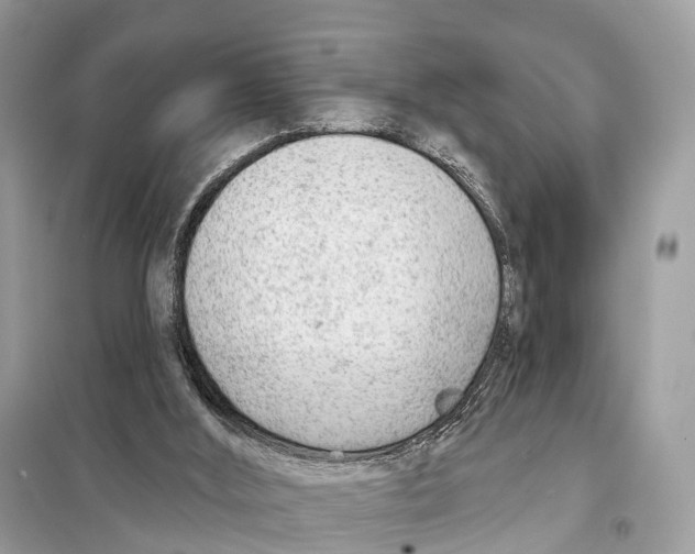 X0000098090012200805021057