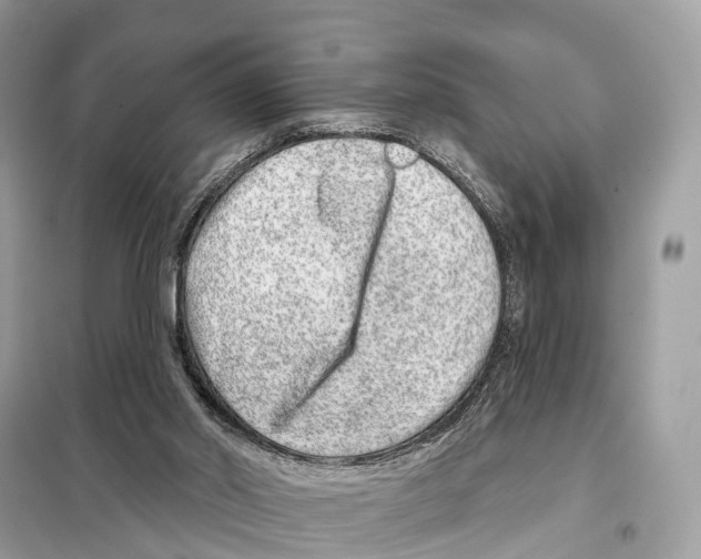 X0000098090014200805021057