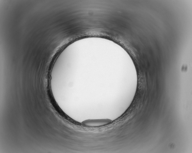 X0000098090015200805021057