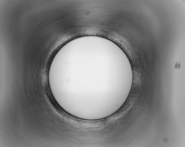 X0000098090016200805021057