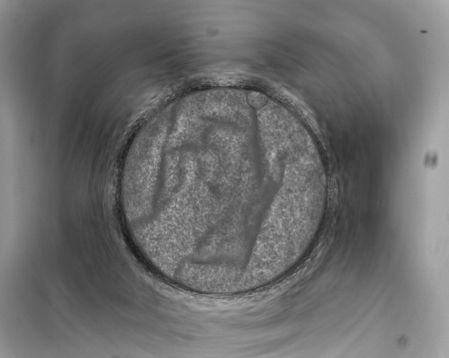 X0000098090018200805021057