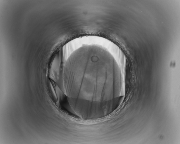 X0000098090019200805021057