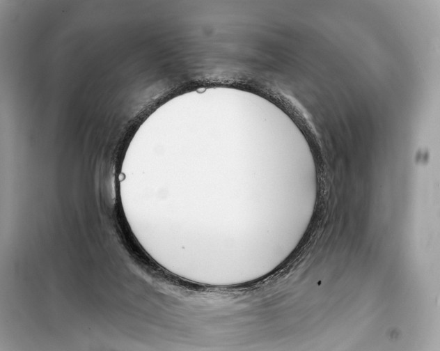 X0000098090020200805021057