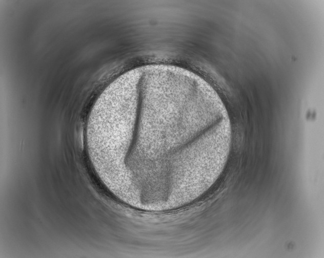 X0000098090022200805021057