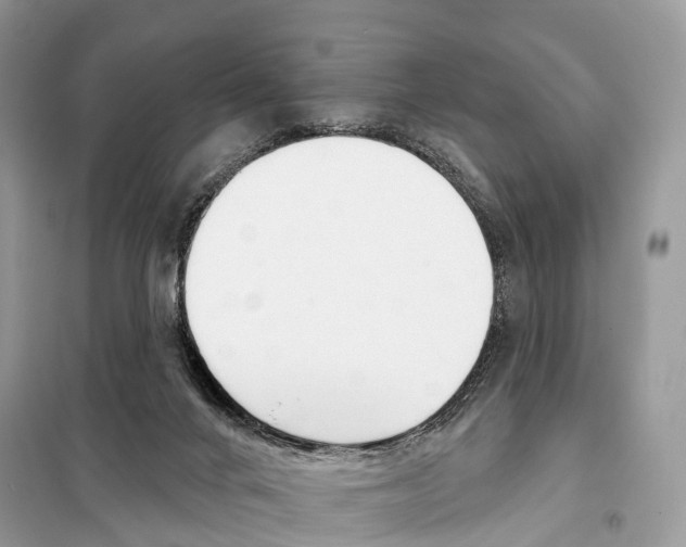 X0000098090024200805021057