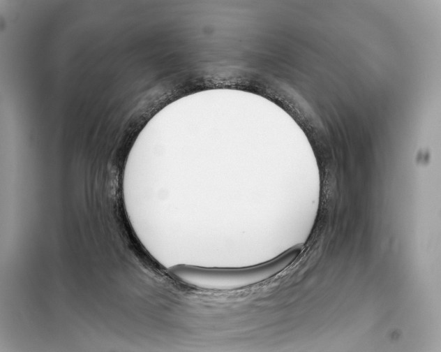 X0000098090025200805021057