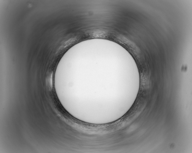 X0000098090028200805021057