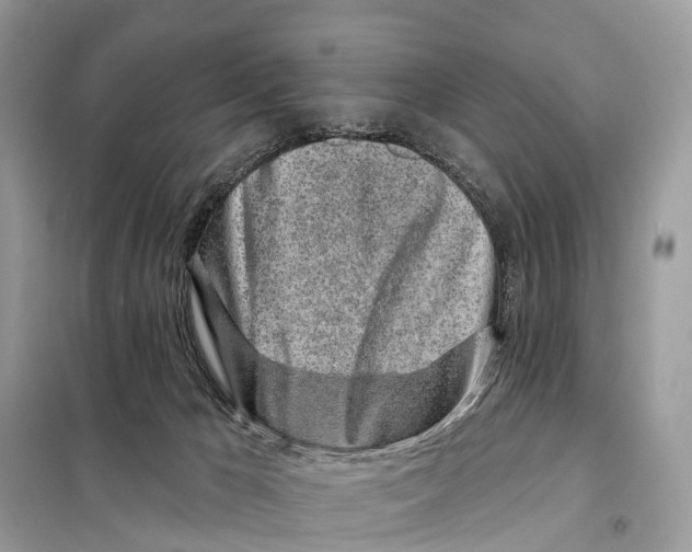 X0000098090029200805021057