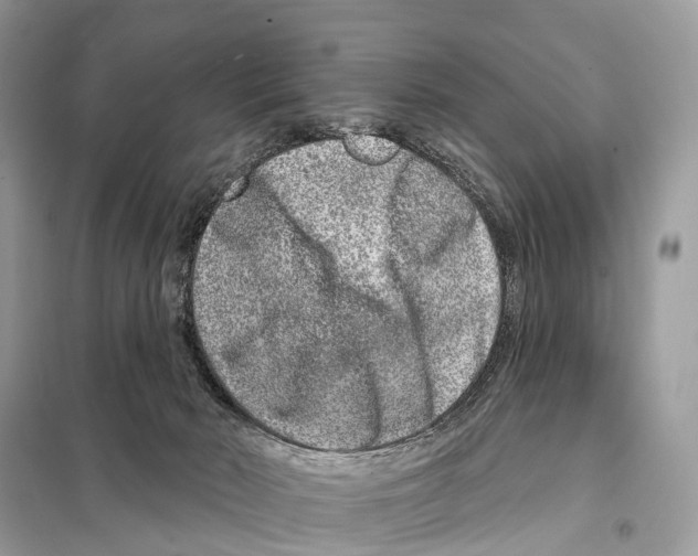 X0000098090030200805021057