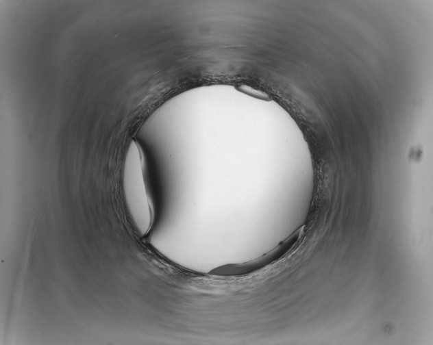 X0000098090033200805021056