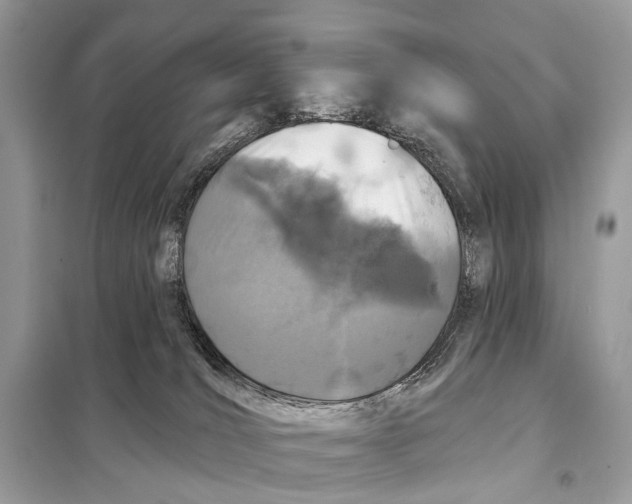 X0000098090036200805021056