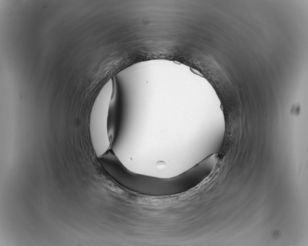 X0000098090041200805021056