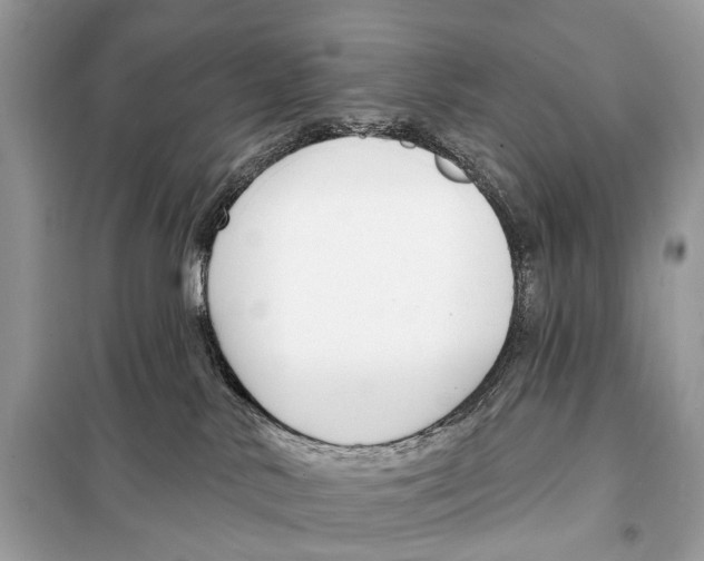 X0000098090042200805021056