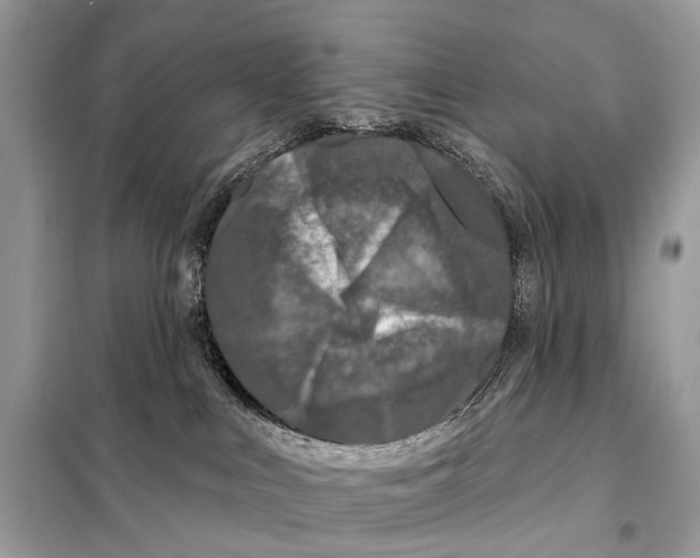 X0000098090043200805021056