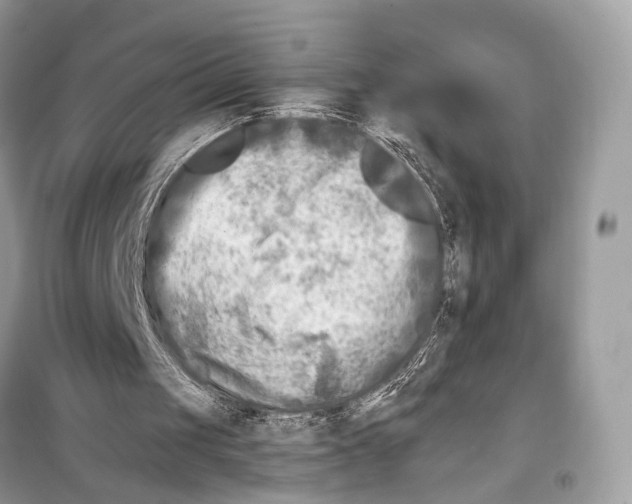 X0000098090049200805021055