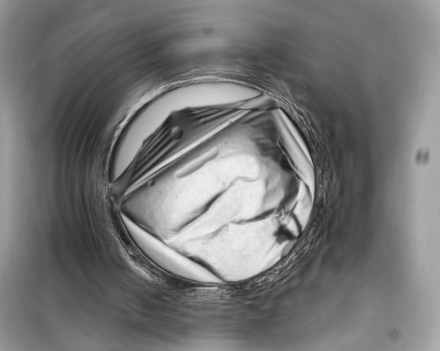 X0000098090050200805021055