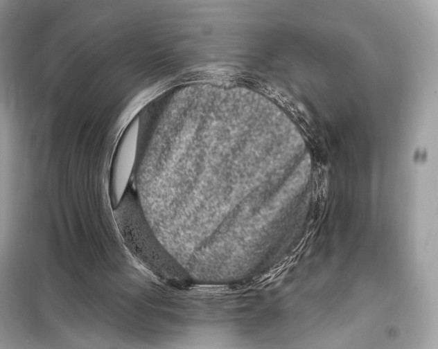 X0000098090051200805021055