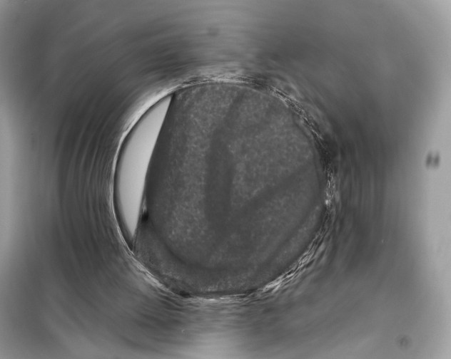 X0000098090052200805021055