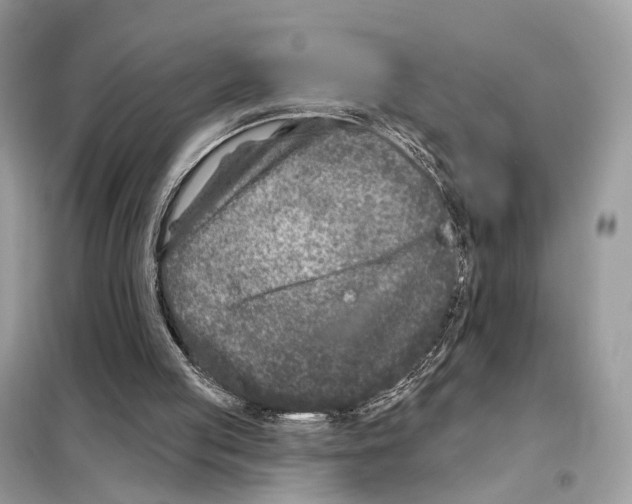 X0000098090053200805021055