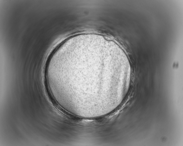 X0000098090055200805021056