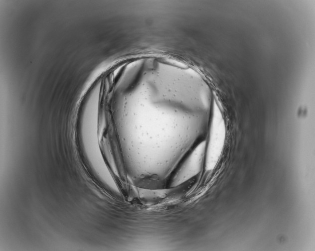 X0000098090056200805021056