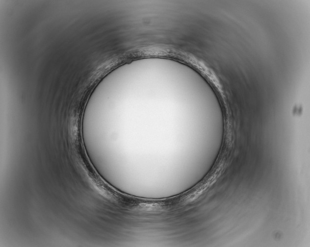 X0000098090057200805021056