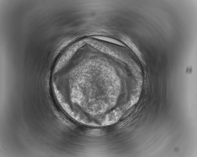 X0000098090058200805021056