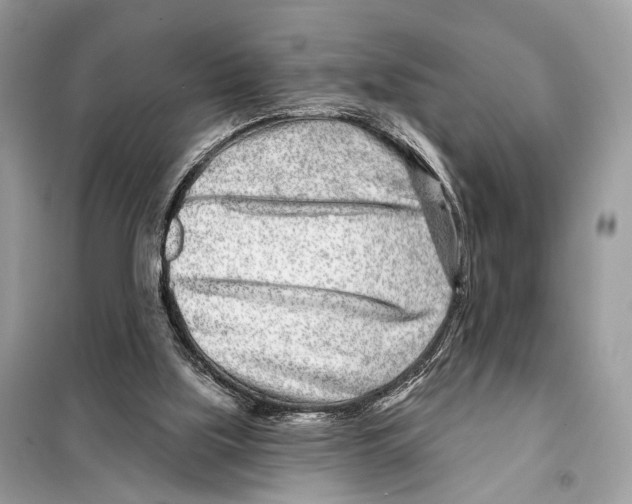 X0000098090059200805021056