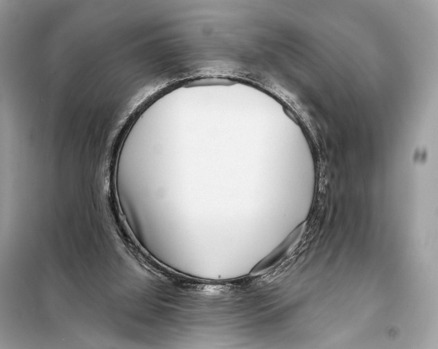 X0000098090060200805021056