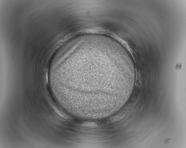 X0000098090061200805021056