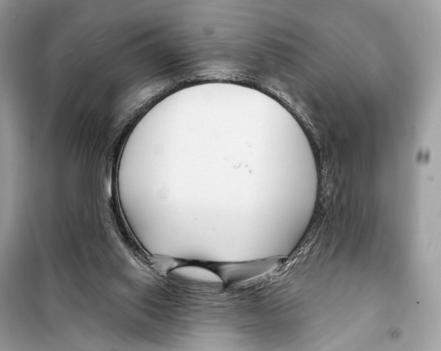 X0000098090062200805021056