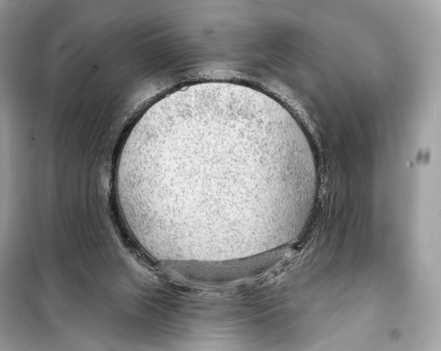 X0000098090063200805021056