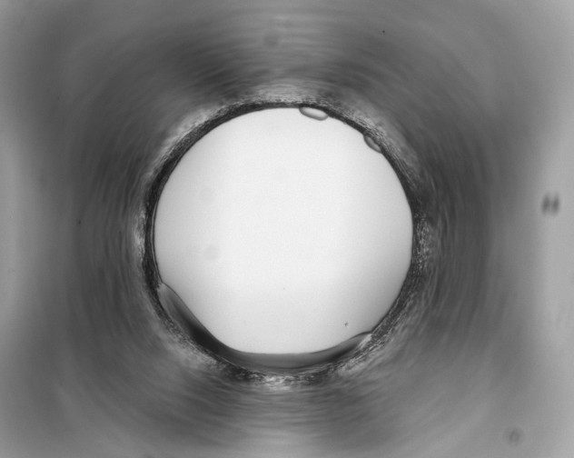 X0000098090064200805021056