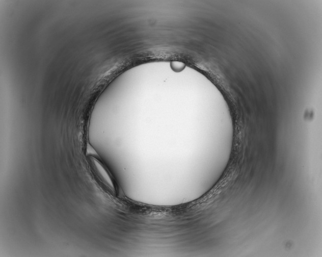 X0000098090066200805021056