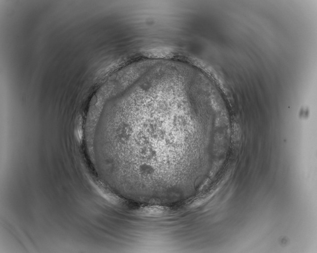 X0000098090069200805021056