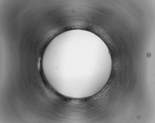 X0000098090070200805021056