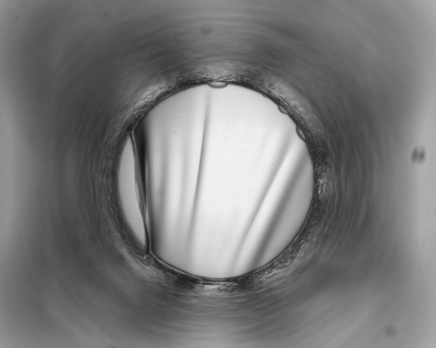 X0000098090072200805021056