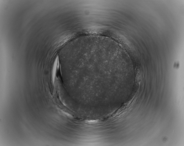 X0000098090076200805021056